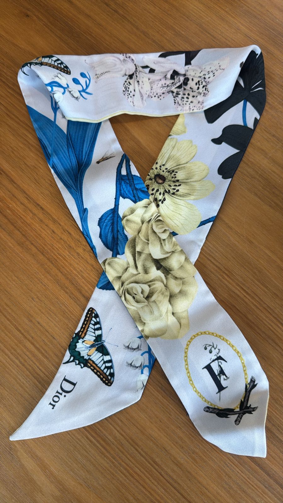 Lenço Dior Estampado