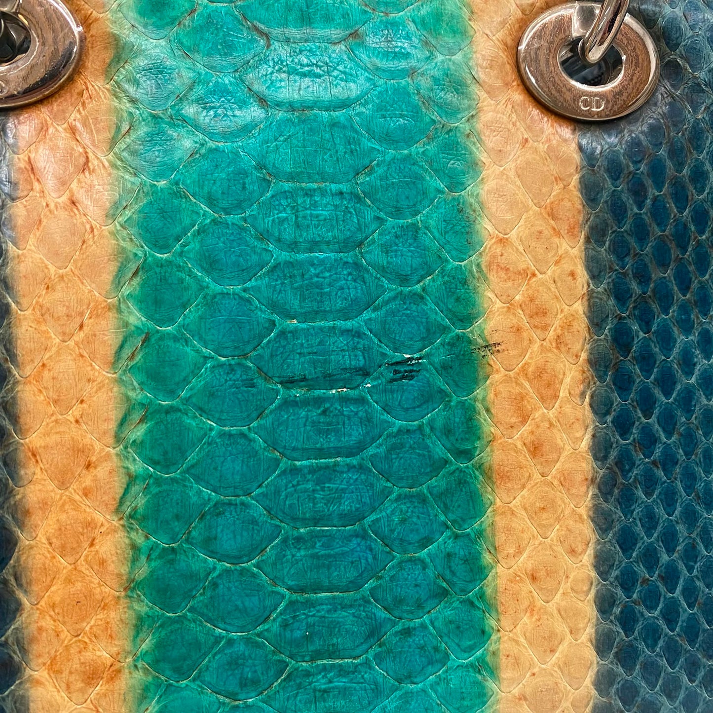 Bolsa Lady Dior Python Verde