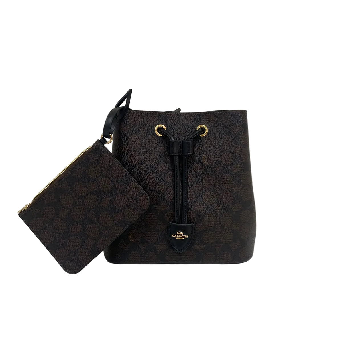 Bolsa Coach Rowan Bucket Bag in Signature Canvas