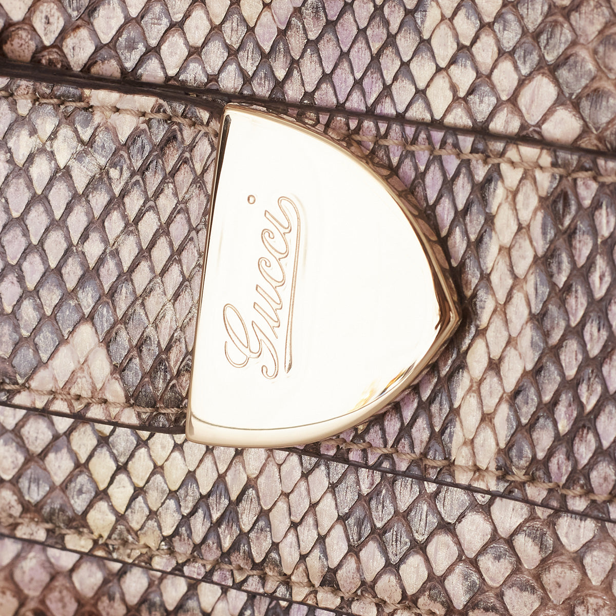 Clutch Gucci Python