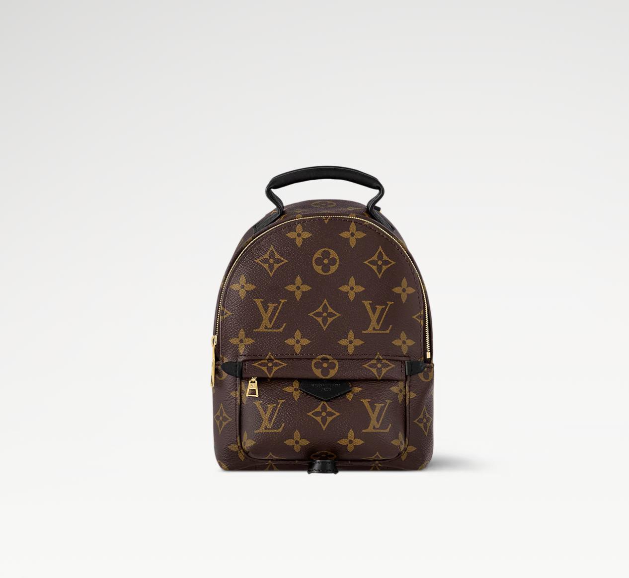 Mochila Louis Vuitton Palm Springs PM