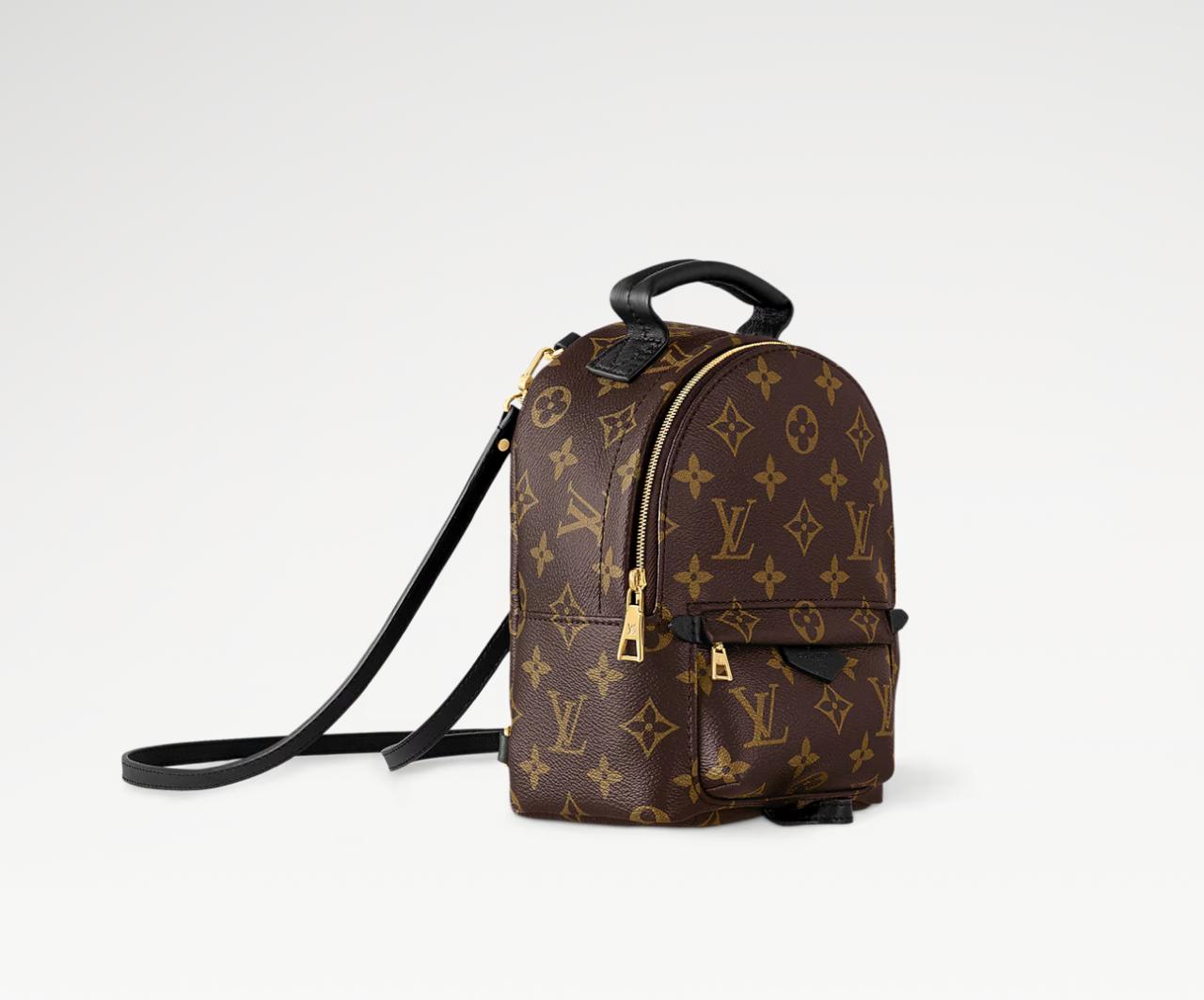 Mochila Louis Vuitton Palm Springs PM – Peguei Bode