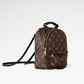 Mochila Louis Vuitton Palm Springs PM