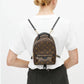 Mochila Louis Vuitton Palm Springs PM