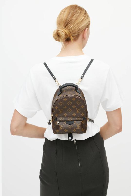 Mochila Louis Vuitton Palm Springs PM