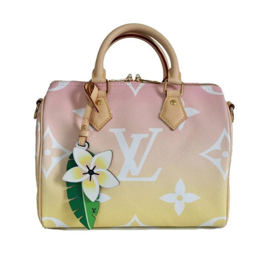 Bolsa Louis Vuitton Speedy 23 Colorida