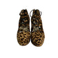 Sapato Brianatwood Estampa Oncinha Tam 37 Br