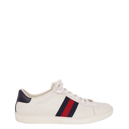 Tênis Gucci c/ Faixas Tam. 37,5 Br